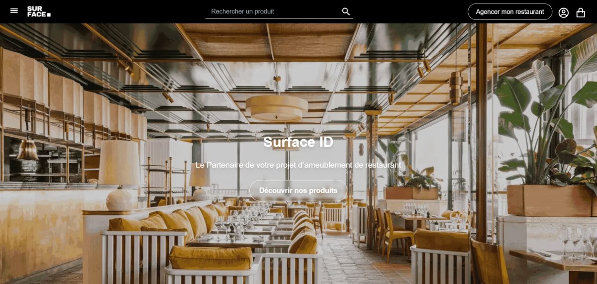 Startseite von Surface-ID